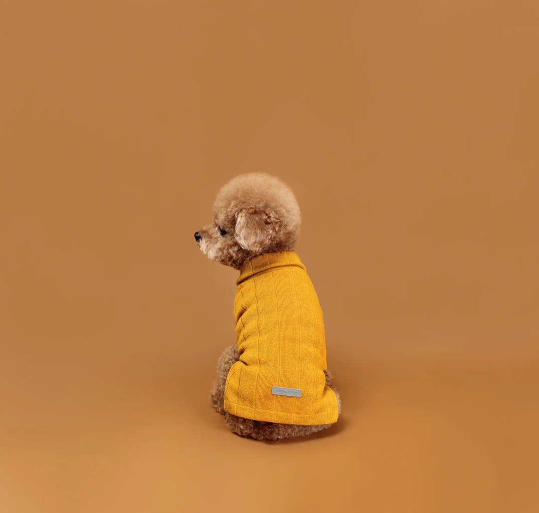 HUTS & BAY | Knit Collar Shirt in Mustard - Image 3
