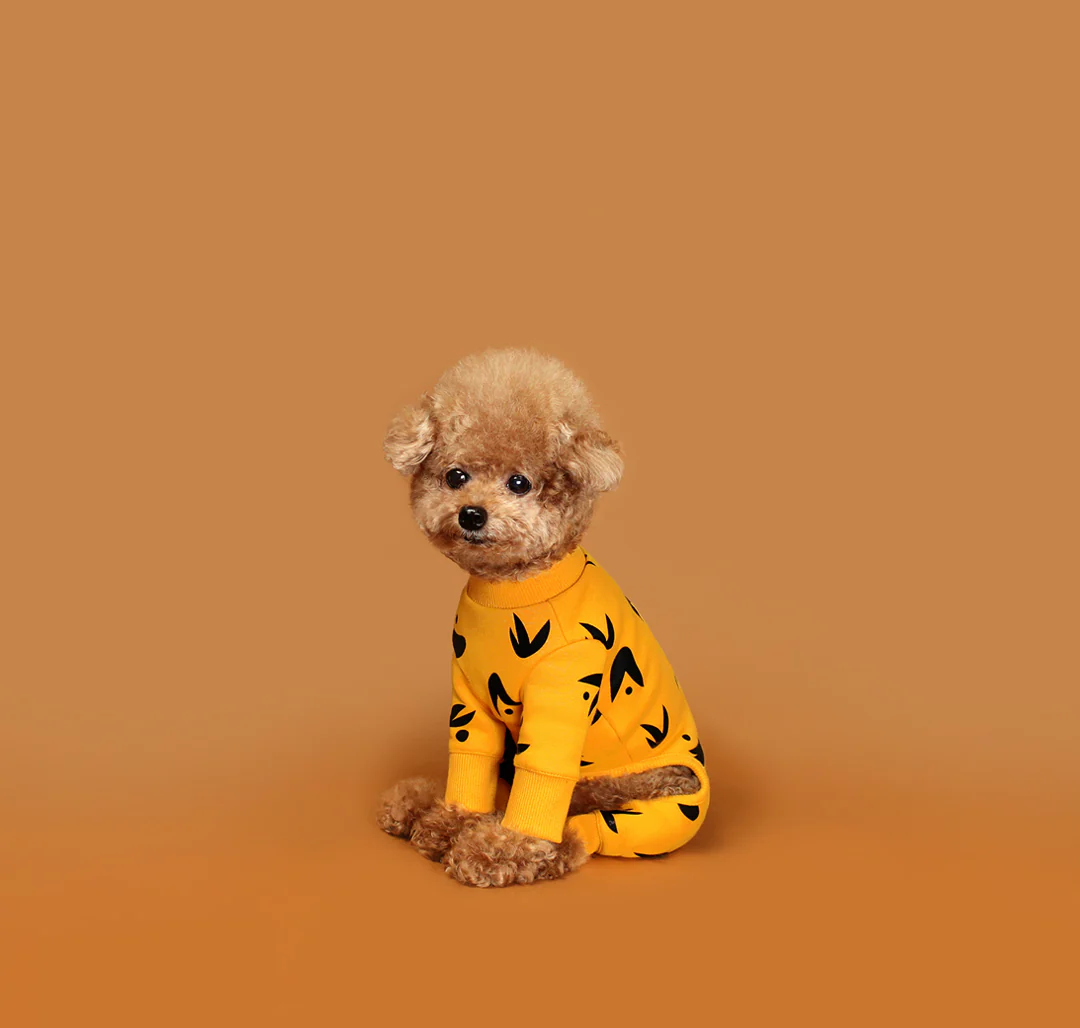 HUTS & BAY | Wing Onesie in Yellow - Image 2