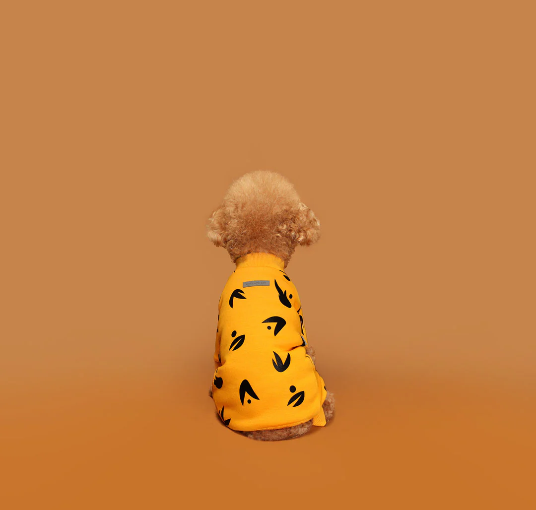 HUTS & BAY | Wing Onesie in Yellow - Image 3