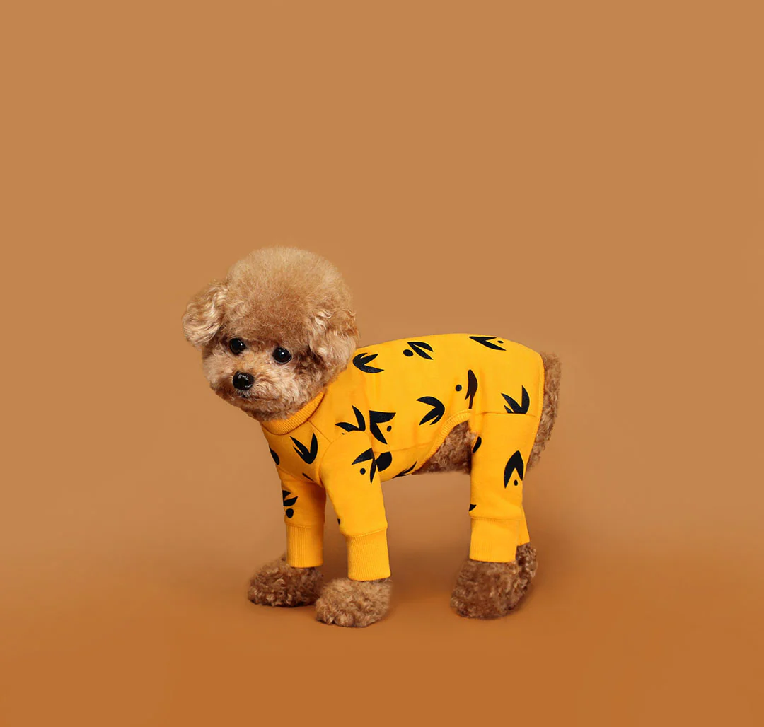HUTS & BAY | Wing Onesie in Yellow - Image 6