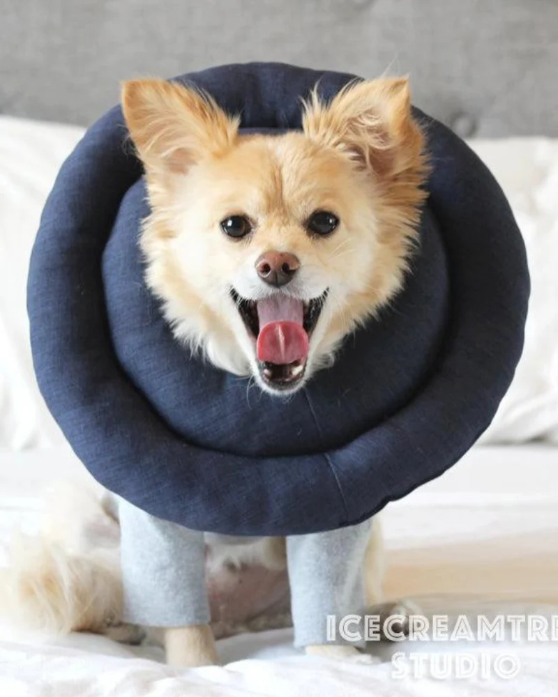 Hypoallergenic Soft Comfy Pet Cone (Made in the USA) - Image 2