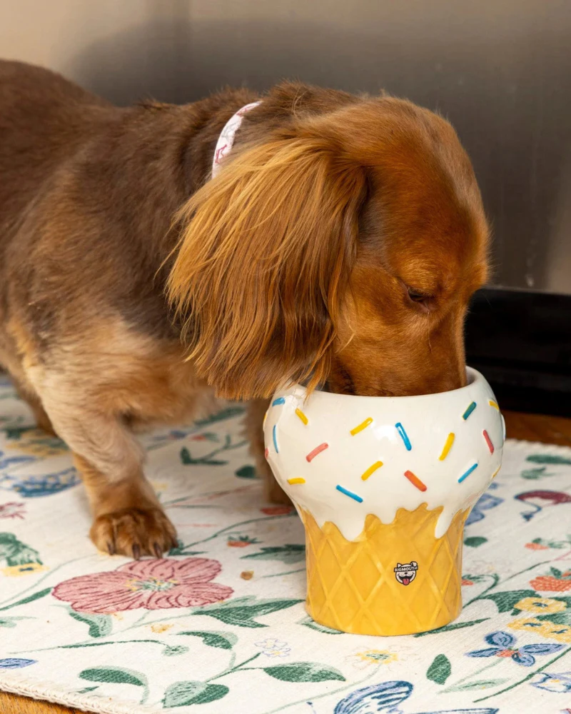 I Scream for Ice Cream Elevated Pet Food Bowl (FINAL SALE) - Image 4