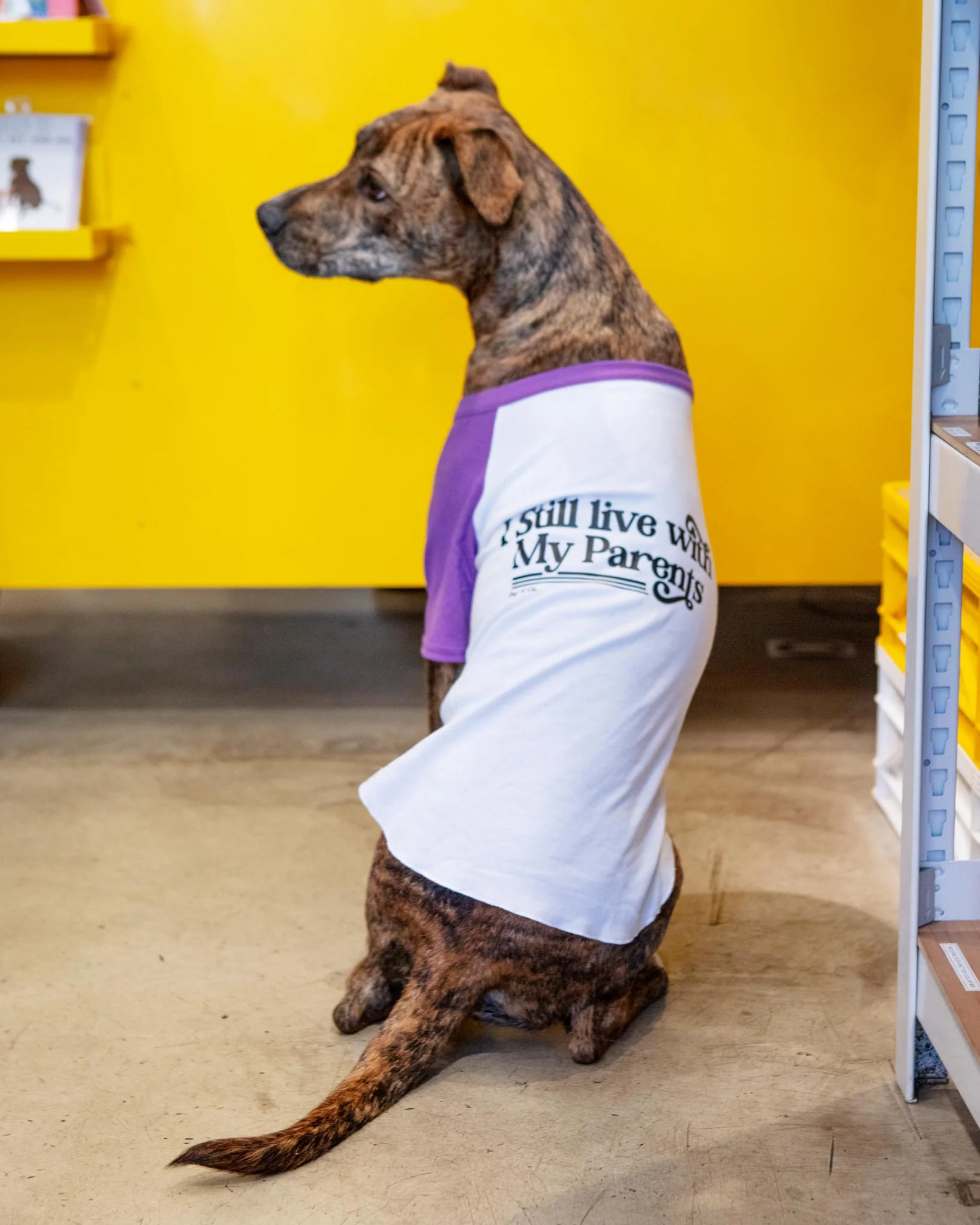 *I Still Live with My Parents* Graphic Dog T-Shirt - Image 3
