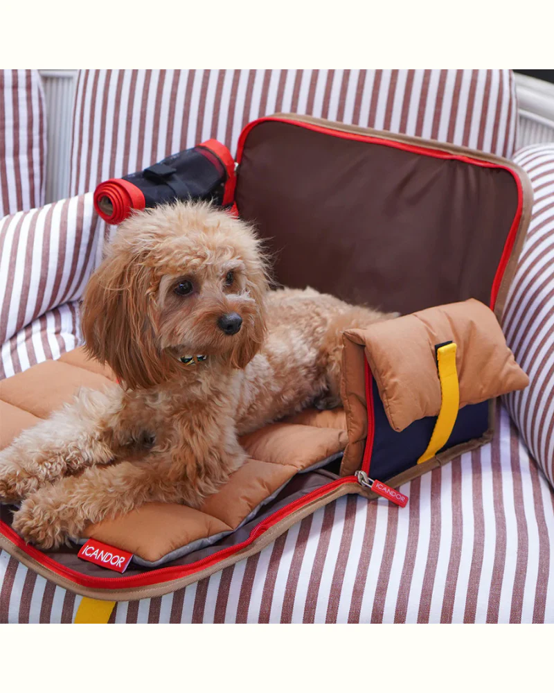 iBag Dog Carrier in Cream - Image 13