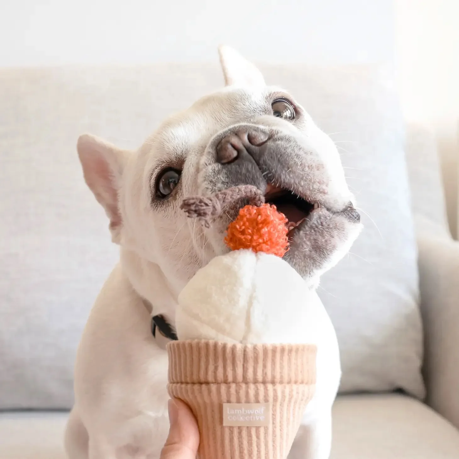Ice Cream Pop Squeaky Snuffle Dog Toy - Image 2