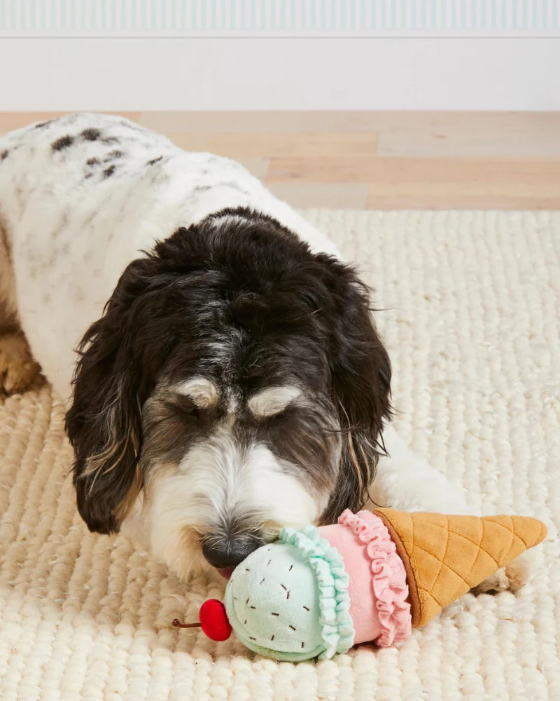 Ice Cream Snuffle Dog Toy - Image 3