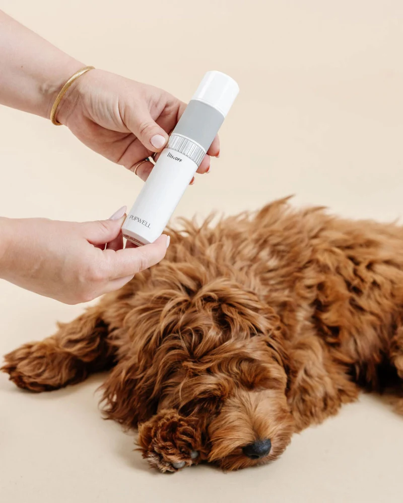 Iconic Dog Nail Trimming Duo - Image 3