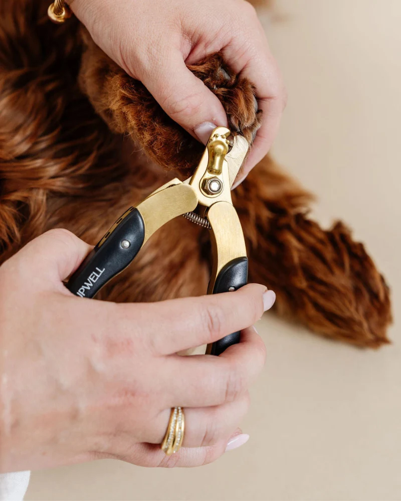 Iconic Dog Nail Trimming Duo - Image 4