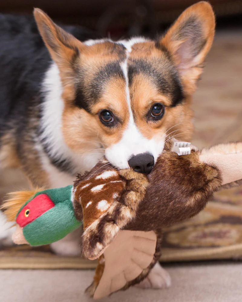 Ike Pheasant Squeaky Dog Plush Toy - Image 4