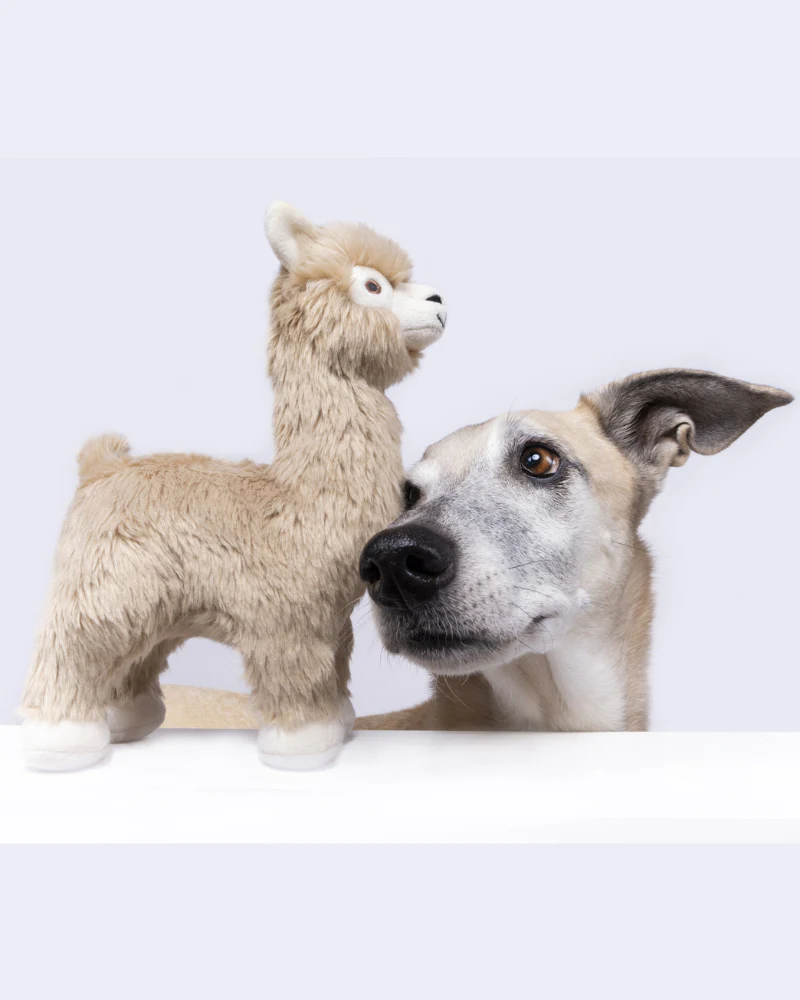 Inca Alpaca Squeaky Plush Dog Toy - Image 3