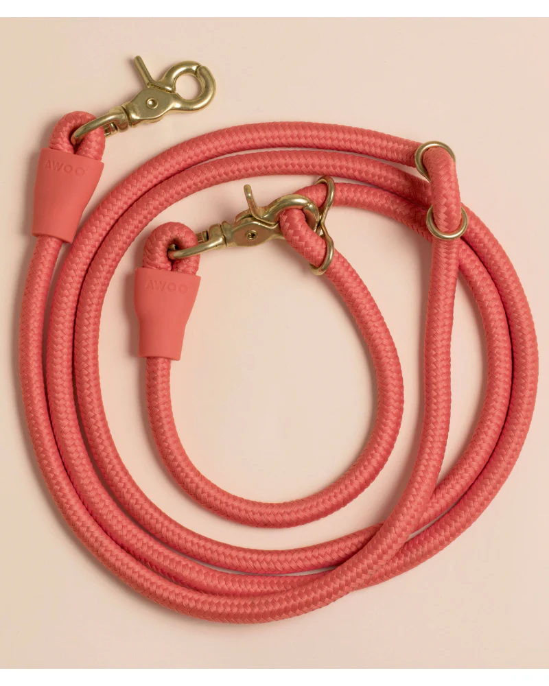 Infinity Dog Leash in Spice - Image 2