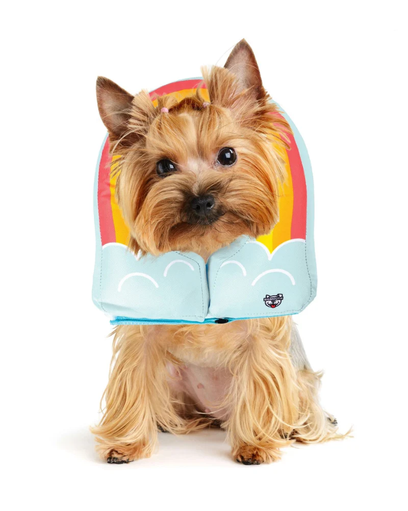 Inflatable Recovery Collar - Image 2