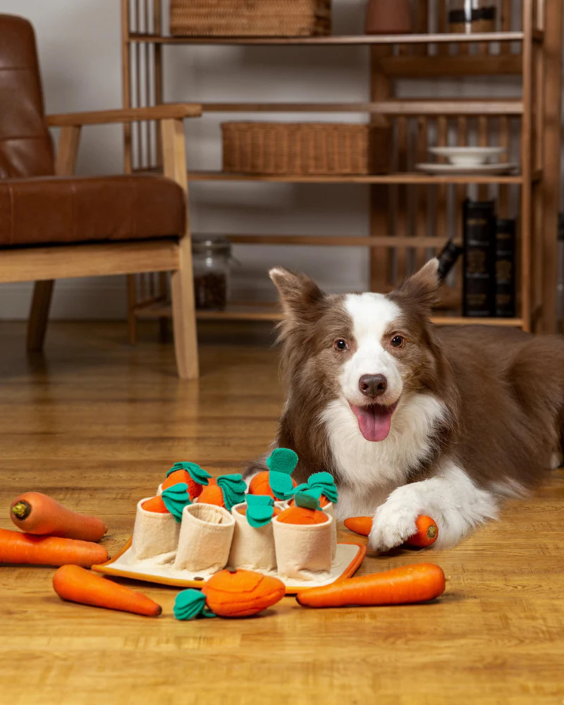 Carrot Patch Snuffle Feeding Toy for Dogs & Cats - Image 4