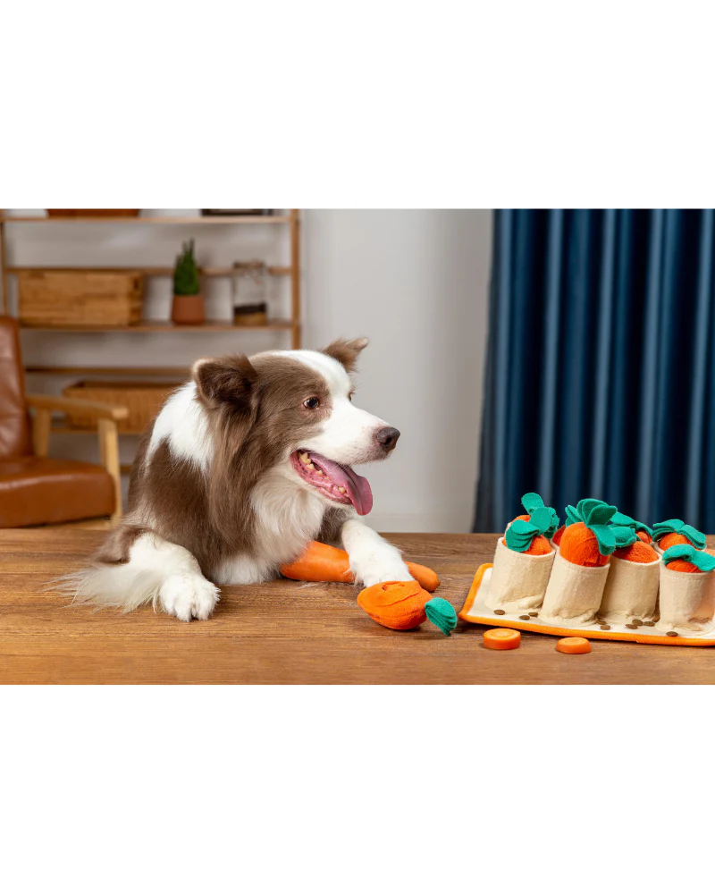 Carrot Patch Snuffle Feeding Toy for Dogs & Cats - Image 7