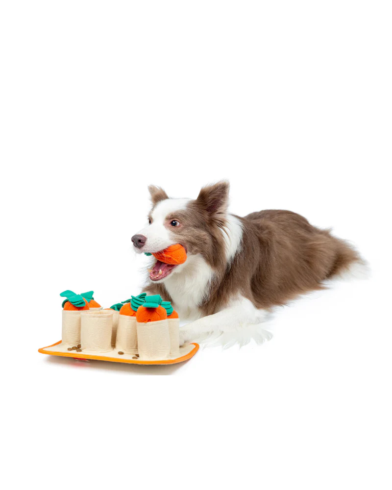 Carrot Patch Snuffle Feeding Toy for Dogs & Cats - Image 8