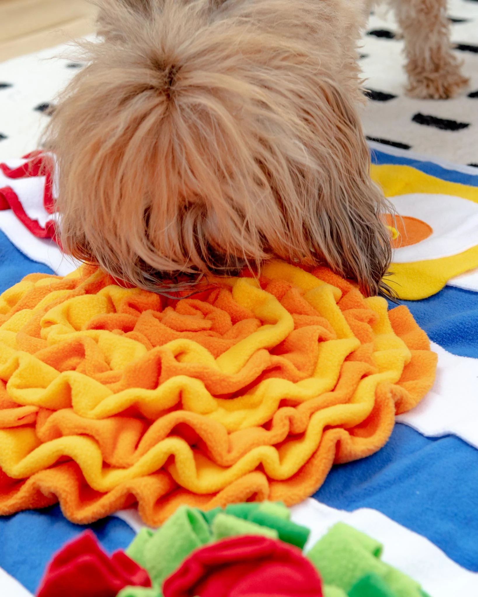 Breakfast Snuffle Mat for Dogs & Cats - Image 9