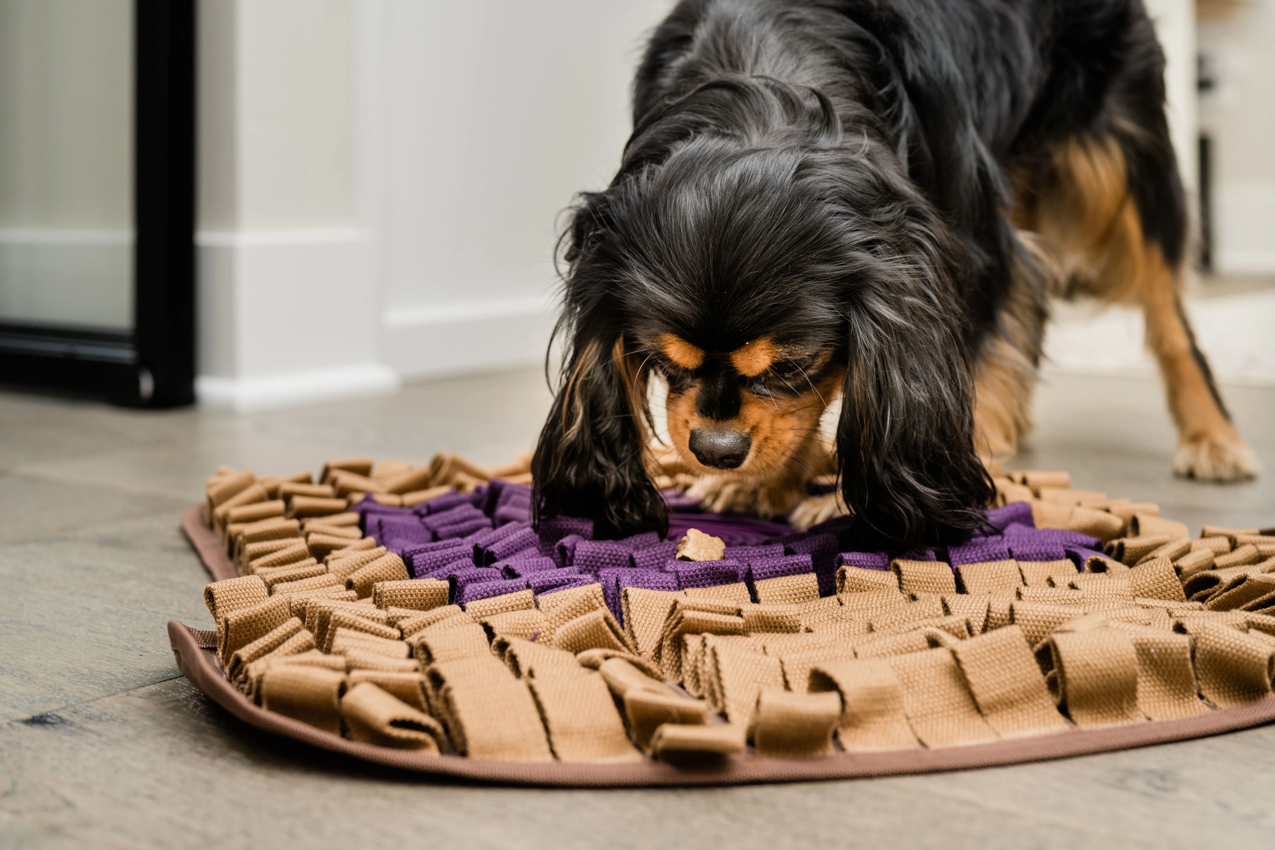 PB & Jelly Snuffle and Lick Mat for Dogs & Cats - Image 8
