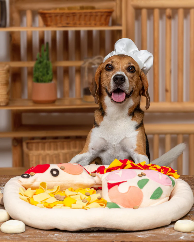 Pizza Snuffle Mat for Dogs & Cats - Image 3