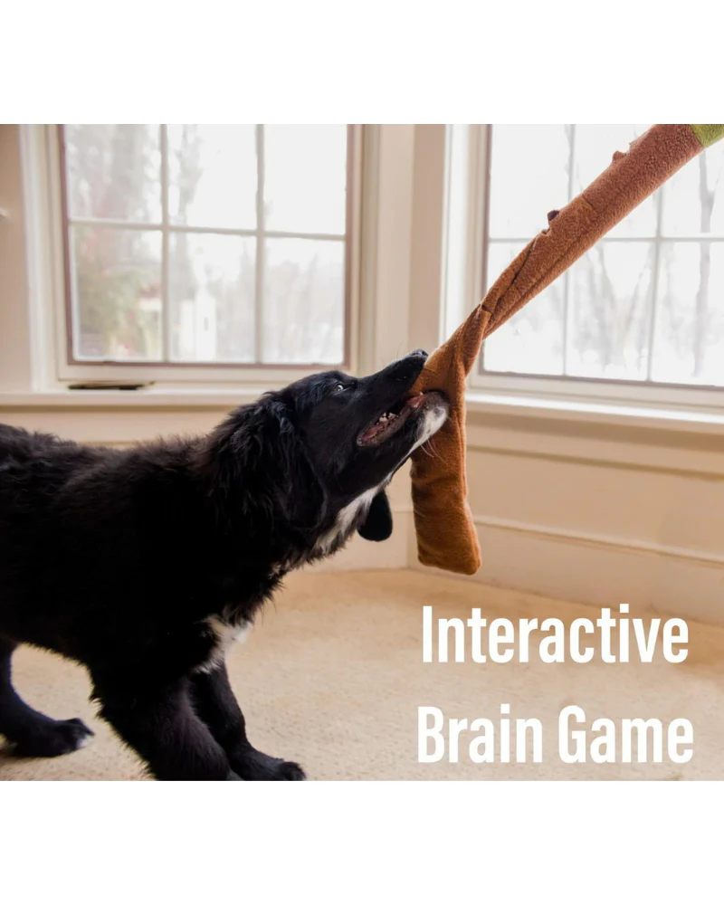 Snail Interactive & Snuffle Dog Toy - Image 6