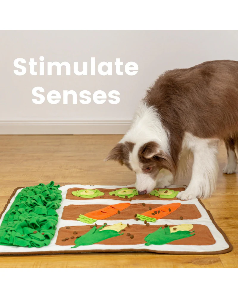 Spring Vegetable Garden Snuffle Dog Mat - Image 6