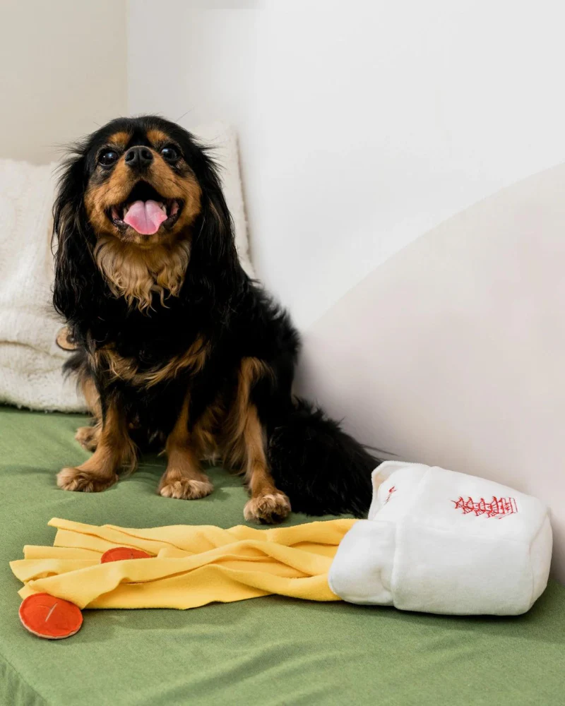 Take Out Snuffle Interactive Dog Toy - Image 9