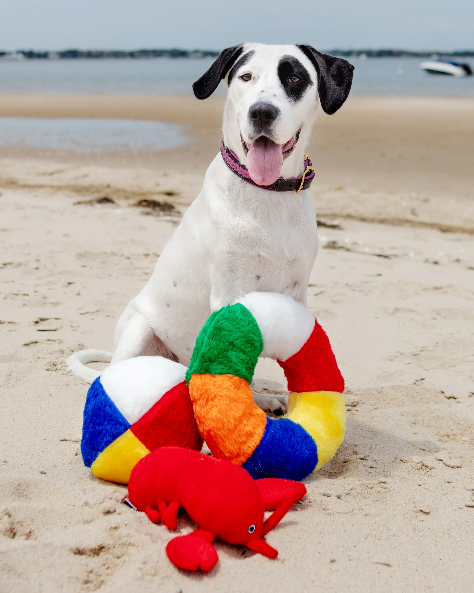 Innertube Plush Dog Toy (Made in the USA) - Image 3