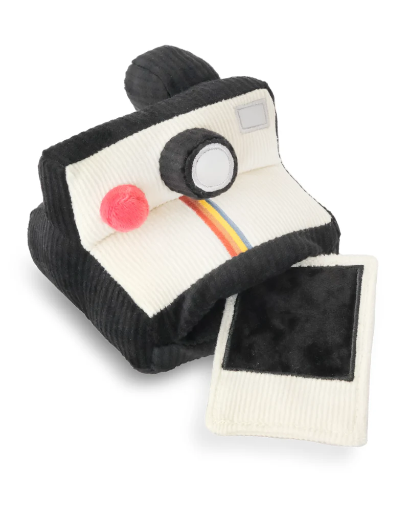 Instant Camera Enrichment Dog Toy - Image 3
