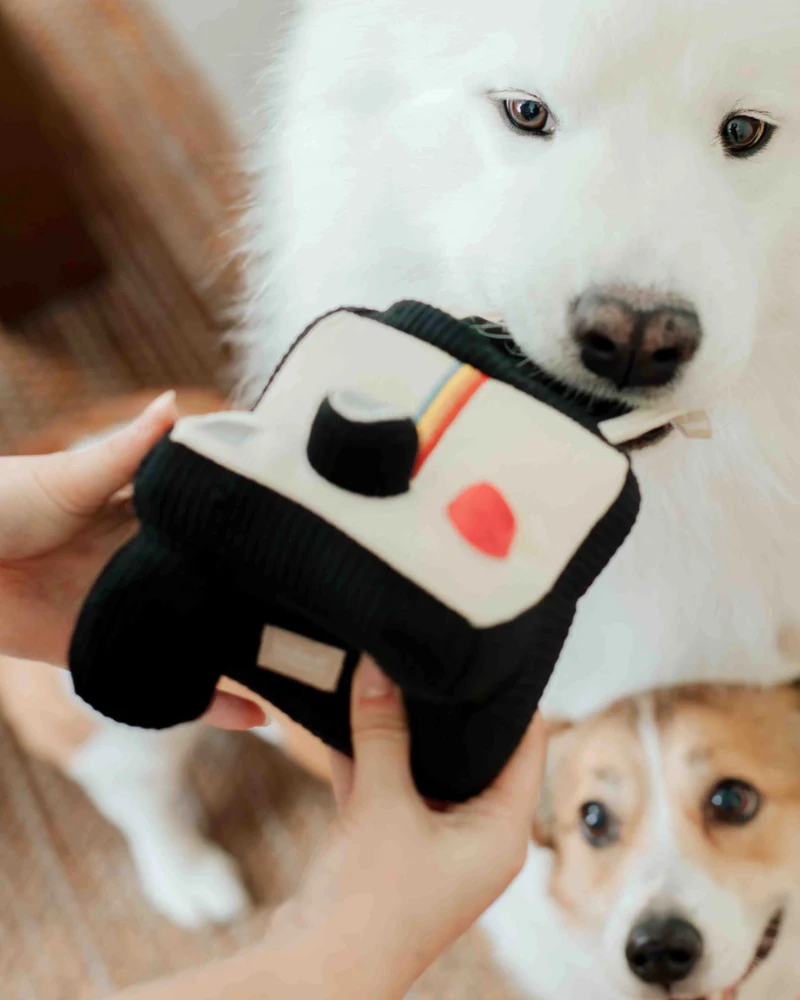 Instant Camera Enrichment Dog Toy - Image 6