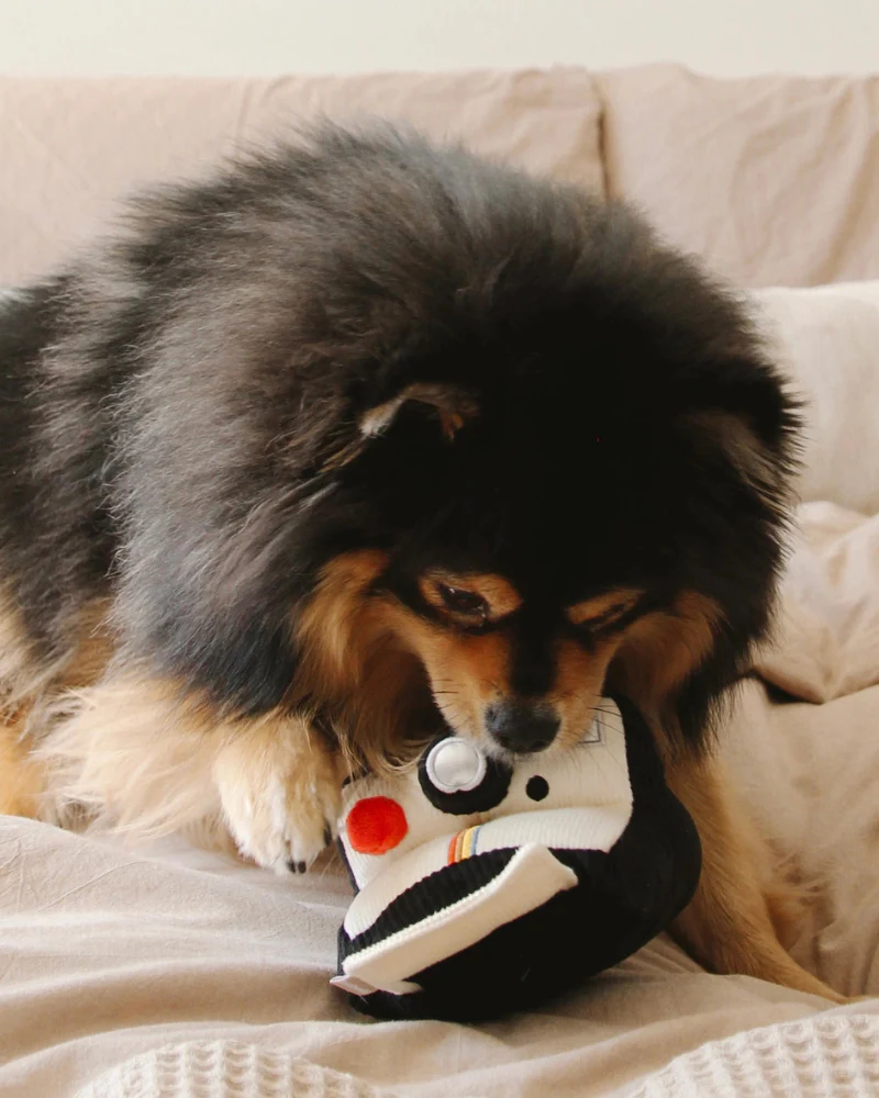 Instant Camera Enrichment Dog Toy - Image 8