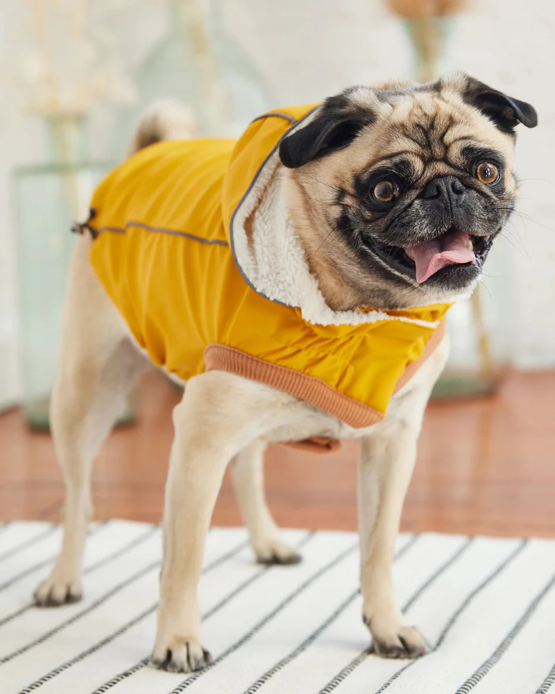 Insulated Dog Raincoat in Yellow - Image 4