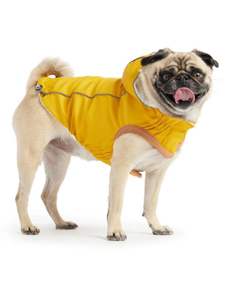 Insulated Dog Raincoat in Yellow - Image 5