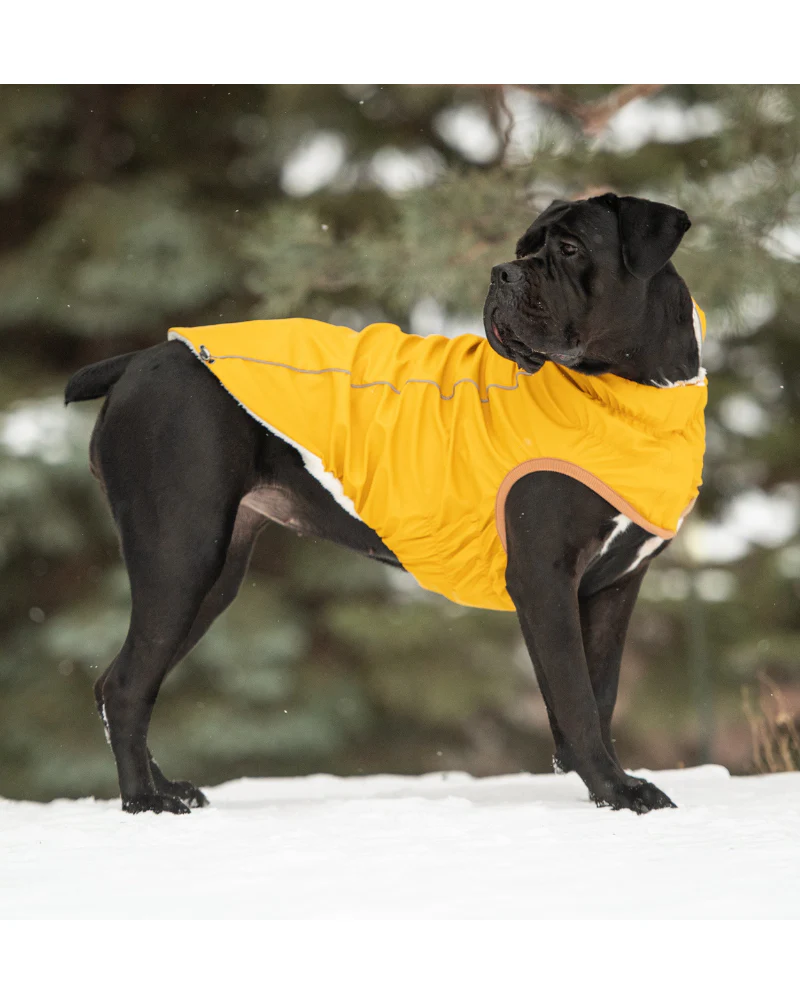Insulated Dog Raincoat in Yellow - Image 7