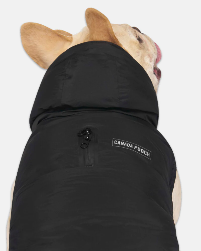 Insulated Waterproof Dog Puffer in Black (FINAL SALE) - Image 2