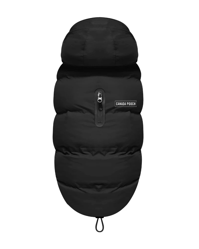 Insulated Waterproof Dog Puffer in Black (FINAL SALE) - Image 4