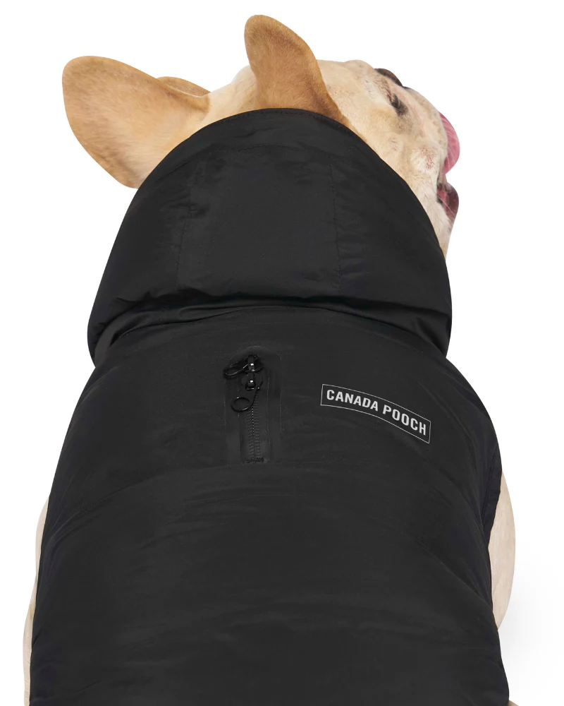 Insulated Waterproof Dog Puffer in Black (FINAL SALE) - Image 5