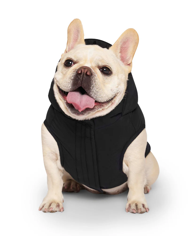 Insulated Waterproof Dog Puffer in Black (FINAL SALE) - Image 6