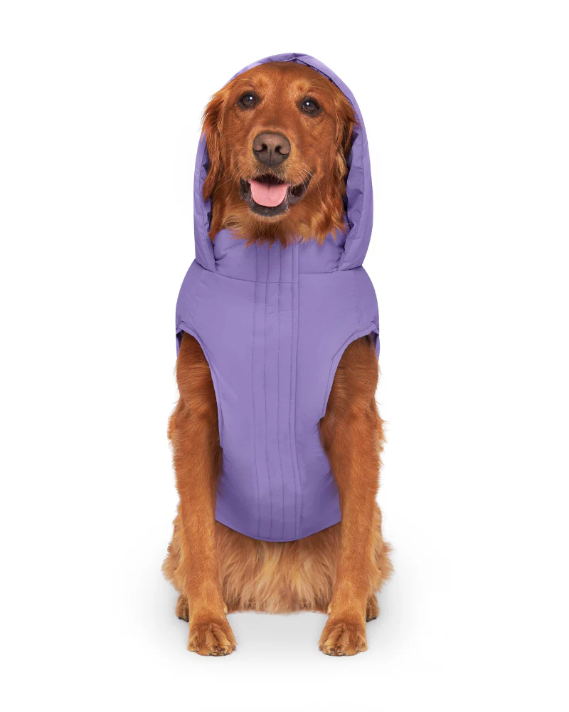 Insulated Waterproof Dog Puffer (FINAL SALE) - Image 10