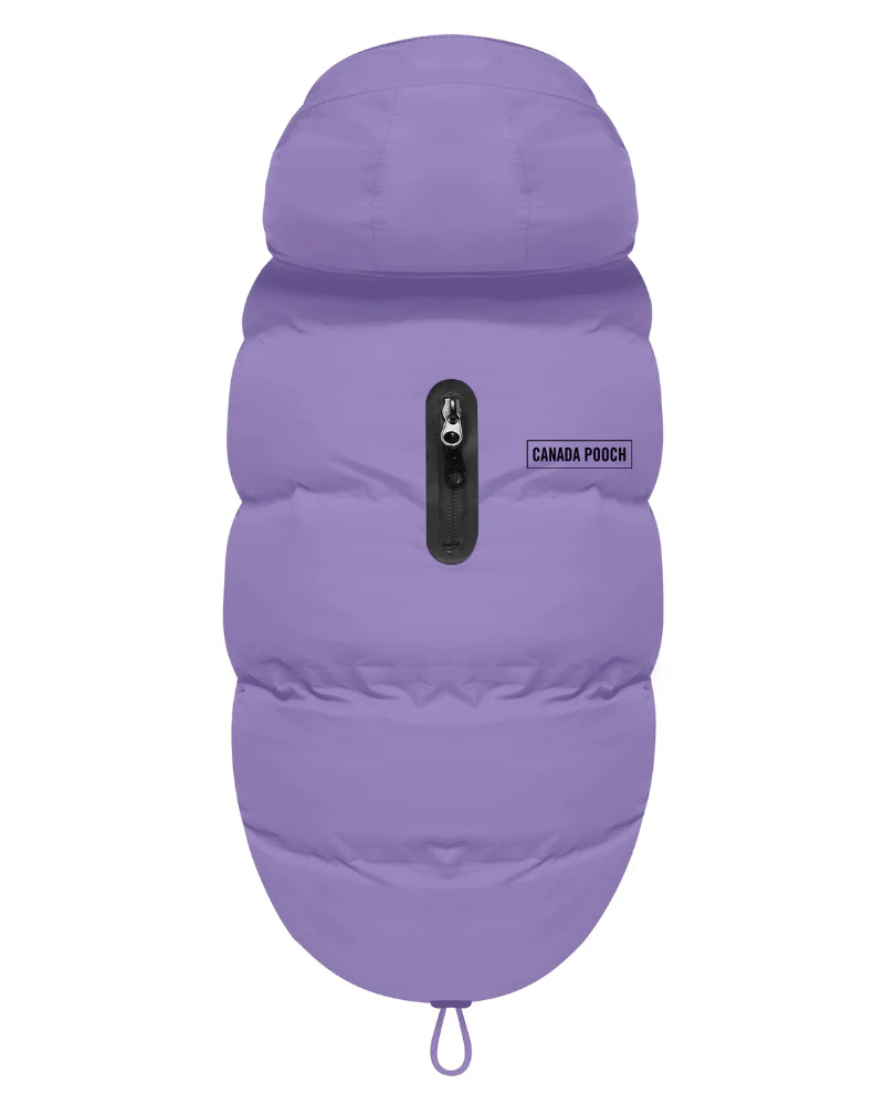 Insulated Waterproof Dog Puffer (FINAL SALE) - Image 11