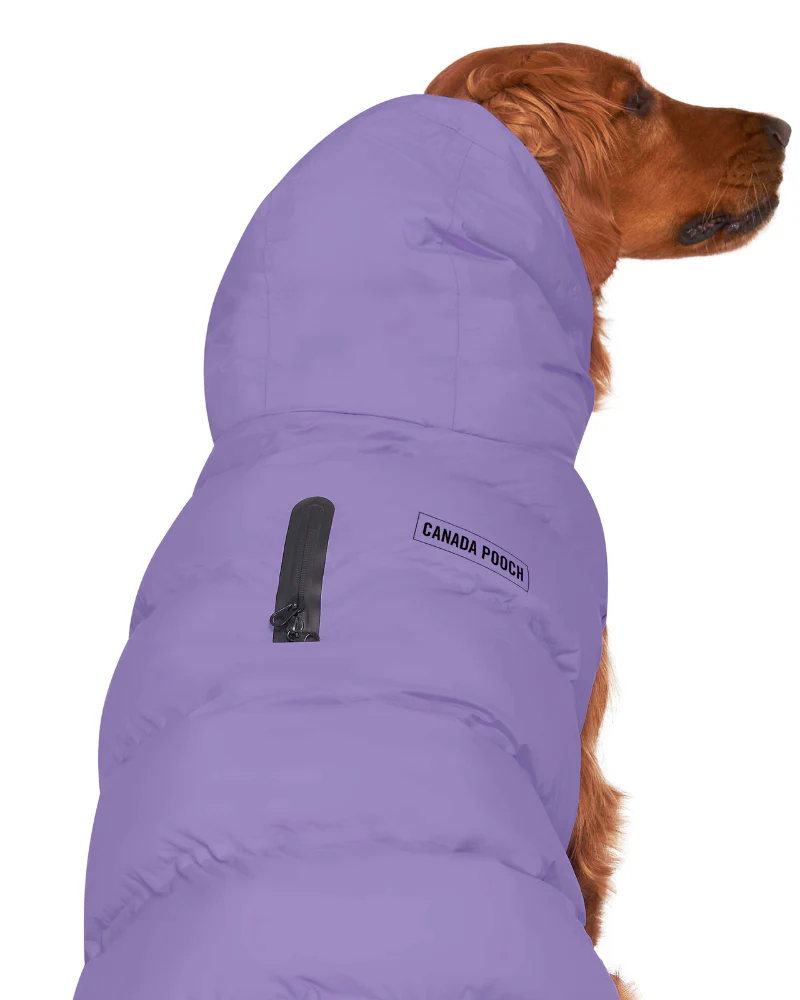 Insulated Waterproof Dog Puffer (FINAL SALE) - Image 12