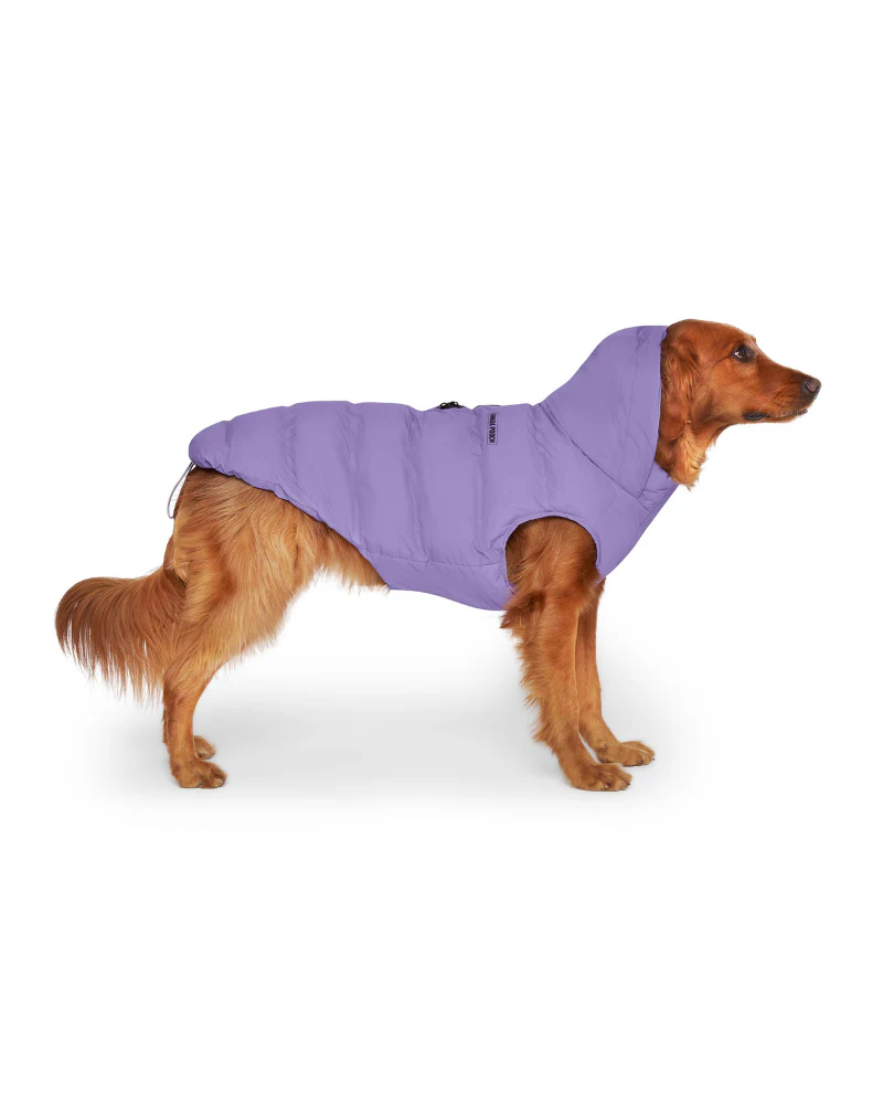 Insulated Waterproof Dog Puffer (FINAL SALE) - Image 13