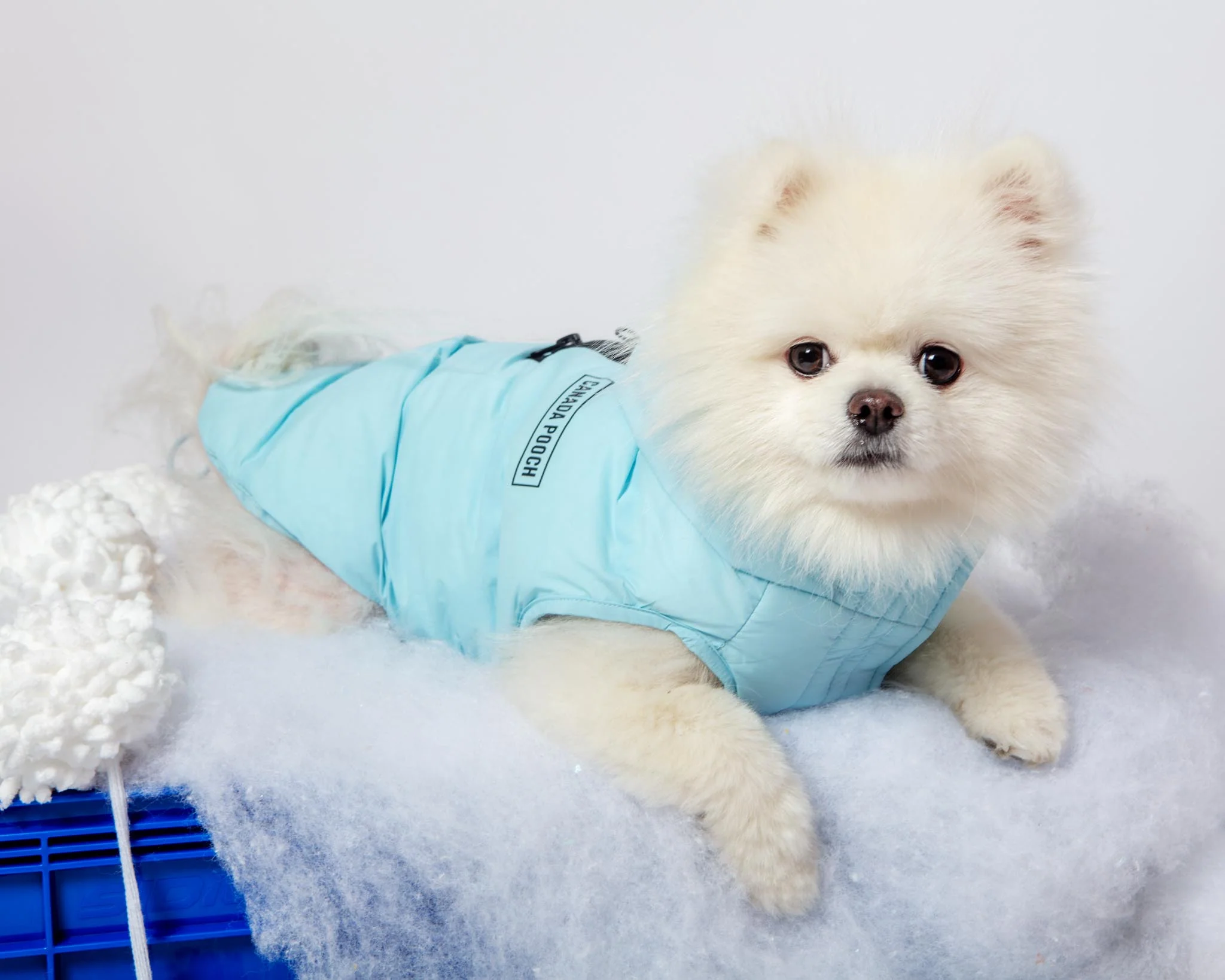Insulated Waterproof Dog Puffer (FINAL SALE) - Image 2