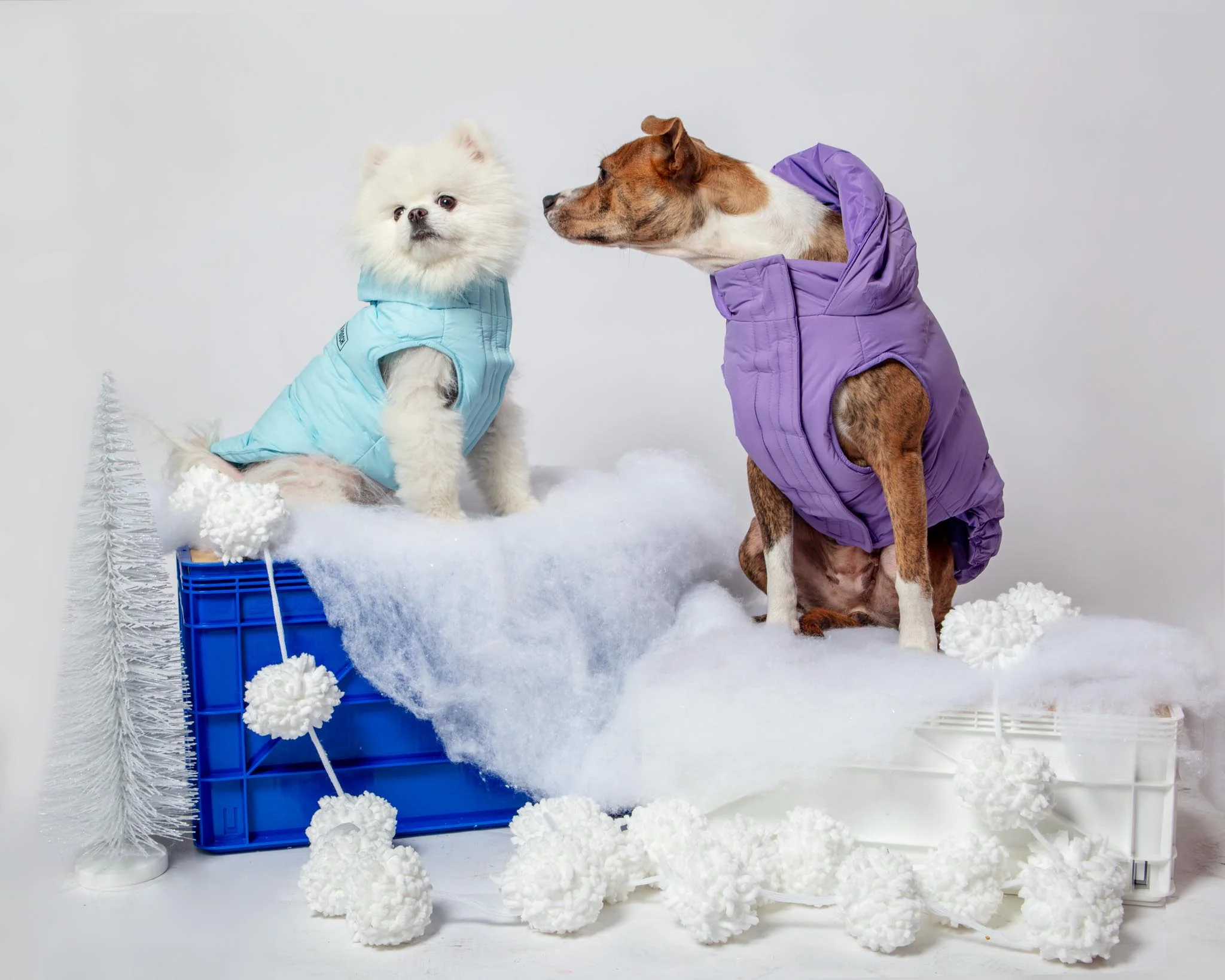 Insulated Waterproof Dog Puffer (FINAL SALE) - Image 3