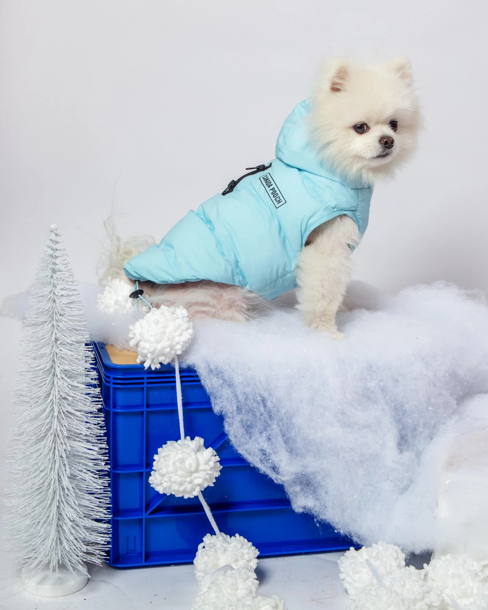 Insulated Waterproof Dog Puffer (FINAL SALE) - Image 4