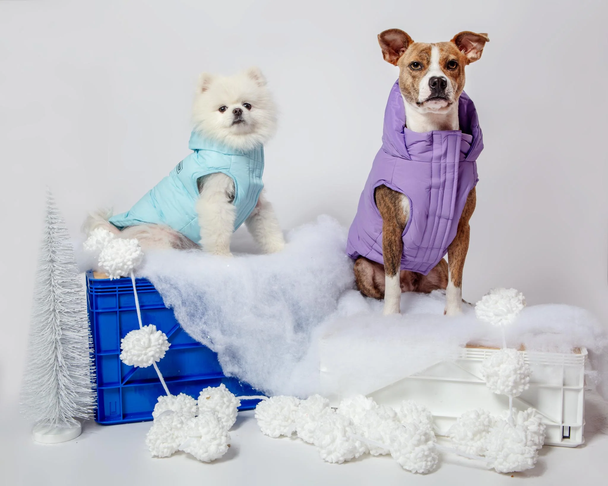 Insulated Waterproof Dog Puffer (FINAL SALE) - Image 5