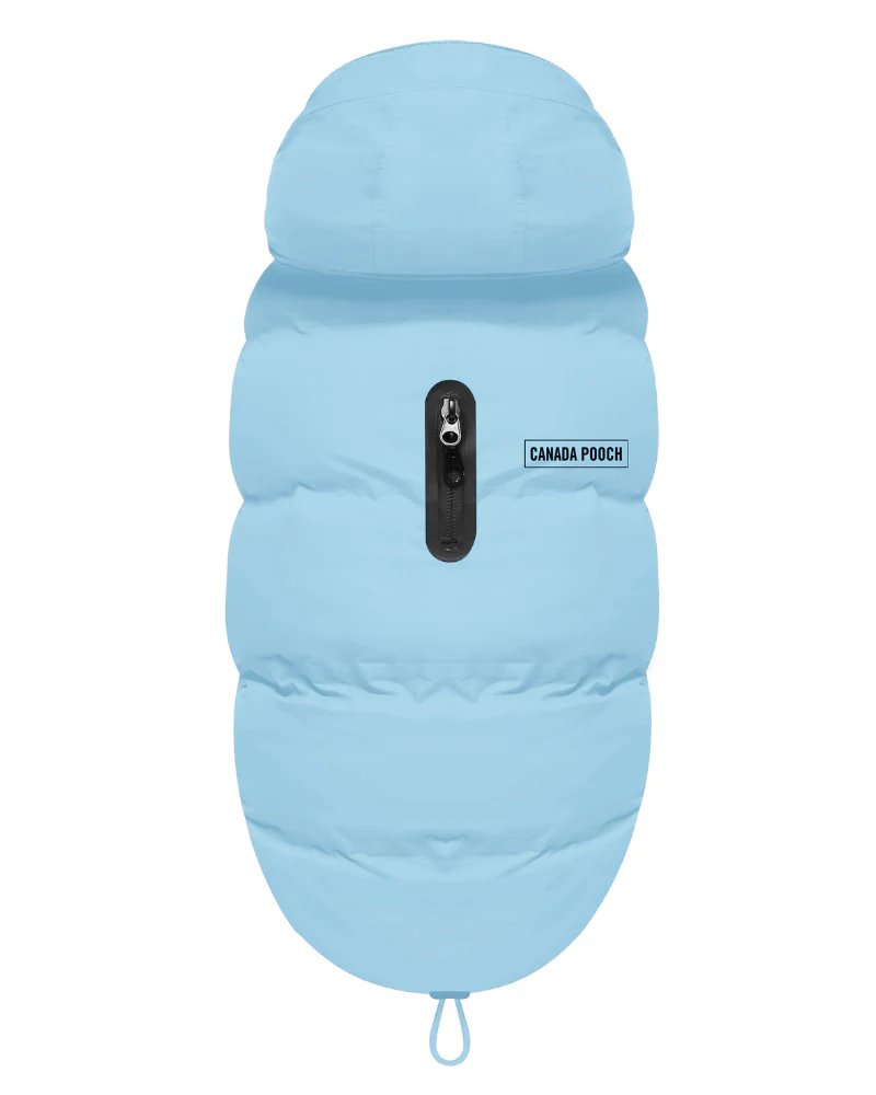 Insulated Waterproof Dog Puffer (FINAL SALE) - Image 6