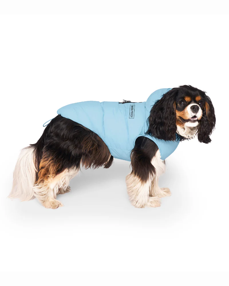 Insulated Waterproof Dog Puffer (FINAL SALE) - Image 7