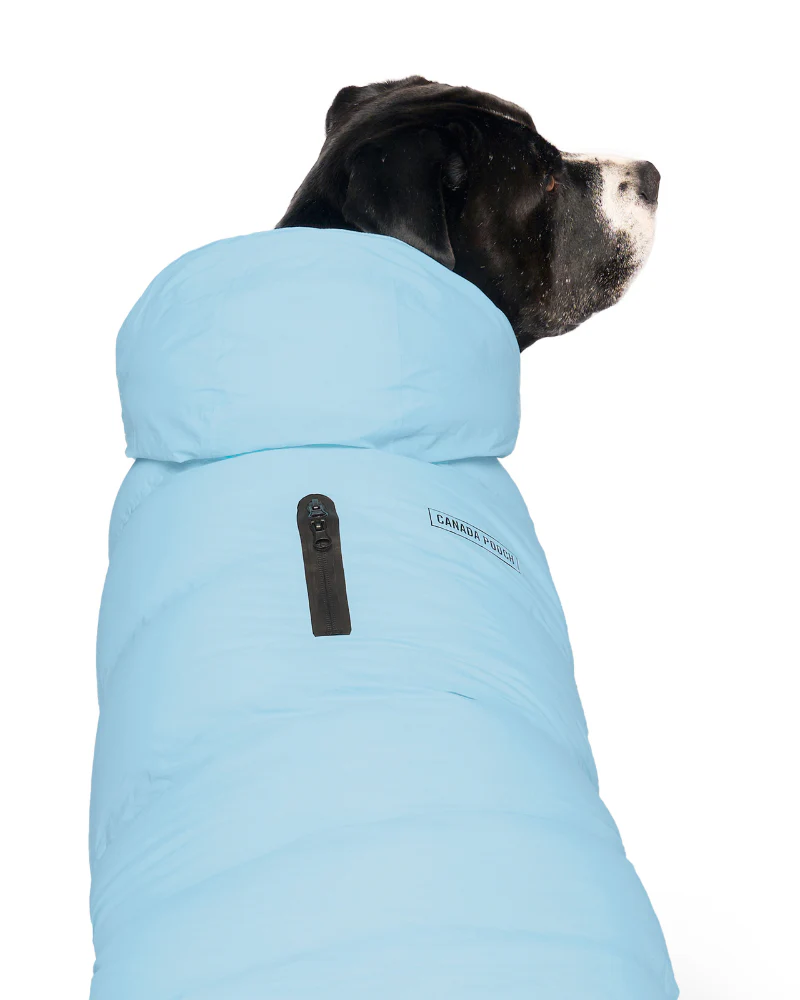 Insulated Waterproof Dog Puffer (FINAL SALE) - Image 8