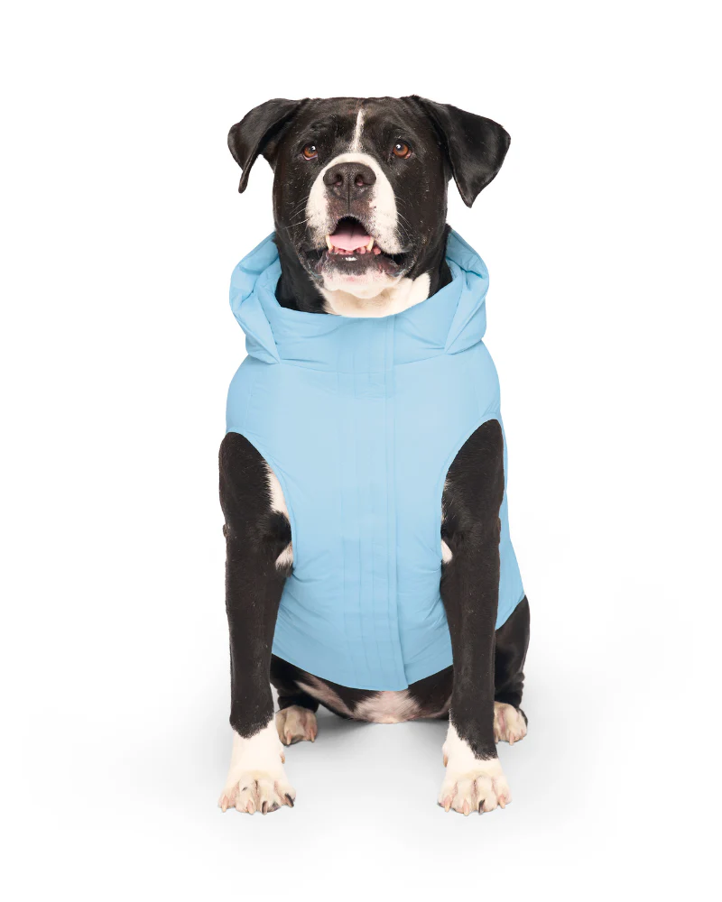 Insulated Waterproof Dog Puffer (FINAL SALE) - Image 9