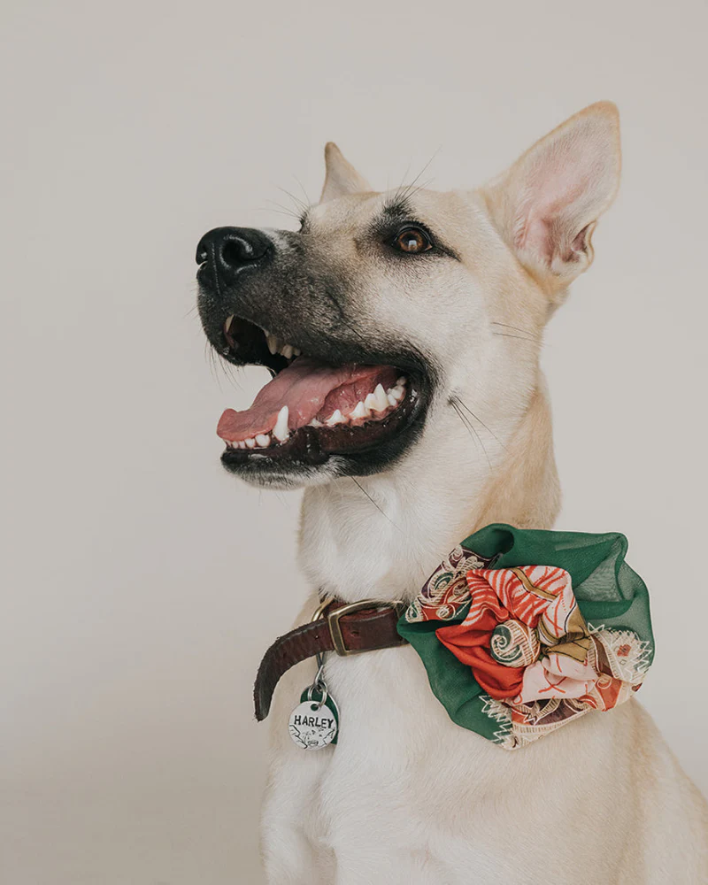 Upcycled Fabric Collar Flower - Assorted Colors<br>(FINAL SALE) - Image 10