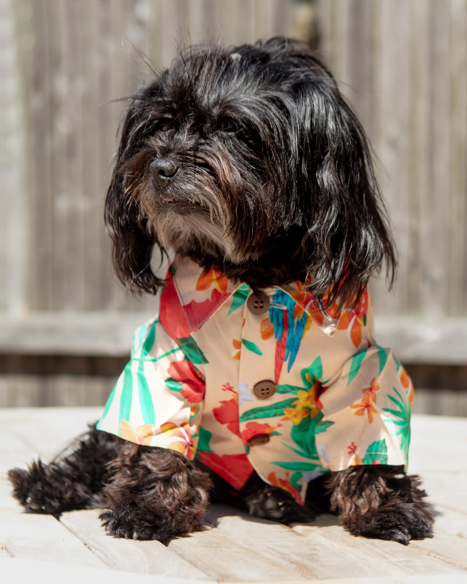 Island Time BBQ Dog Shirt (FINAL SALE)